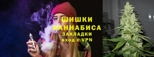 гашик Заводоуковск