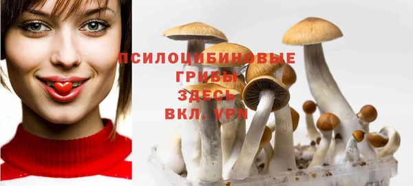 mdma Ельня