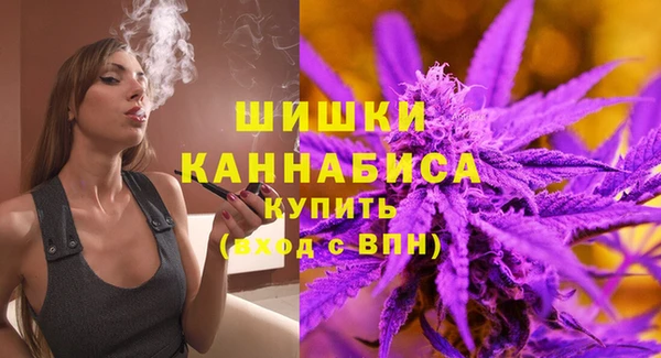 гашик Заводоуковск