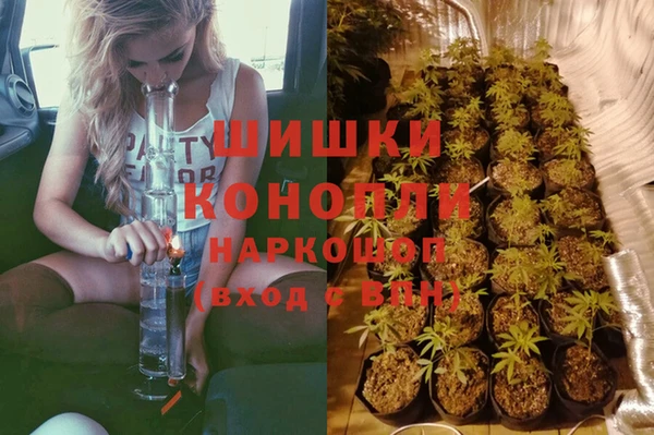 гашик Заводоуковск