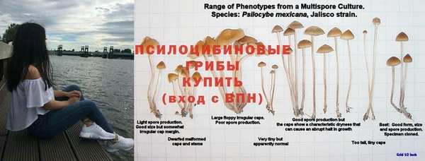 гашик Заводоуковск
