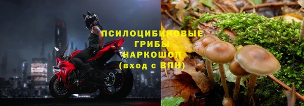 дмт Заволжск